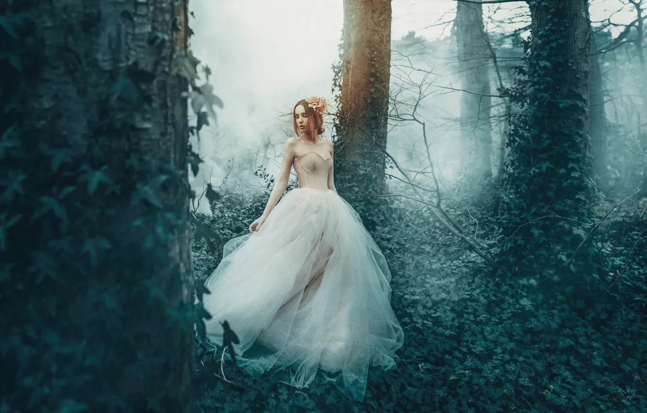 Photo wallpaper forest, girl, trees, fog, dress, Princess, ivy