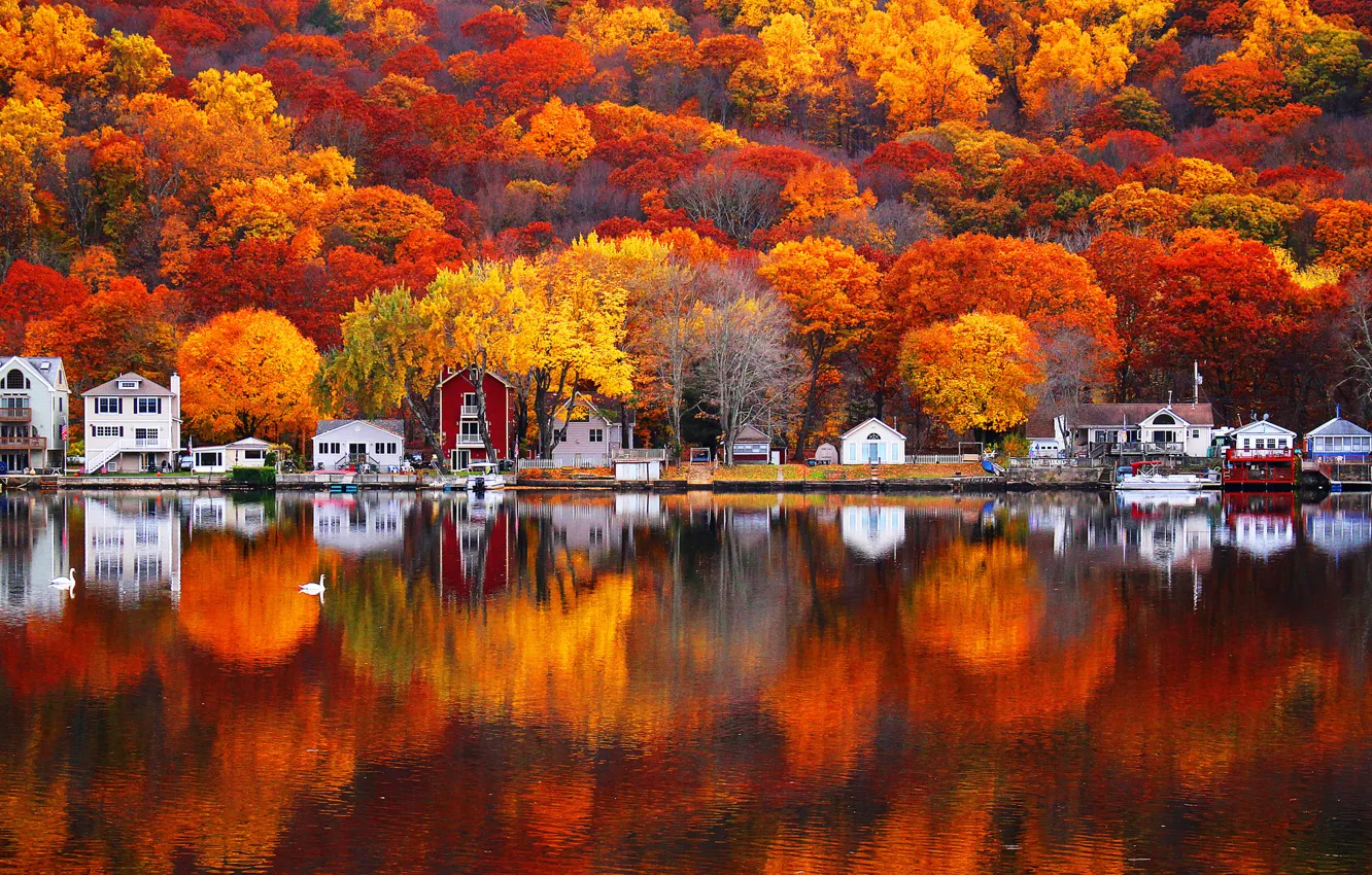 Photo wallpaper autumn, leaves, trees, nature, lake, reflection, paint, home