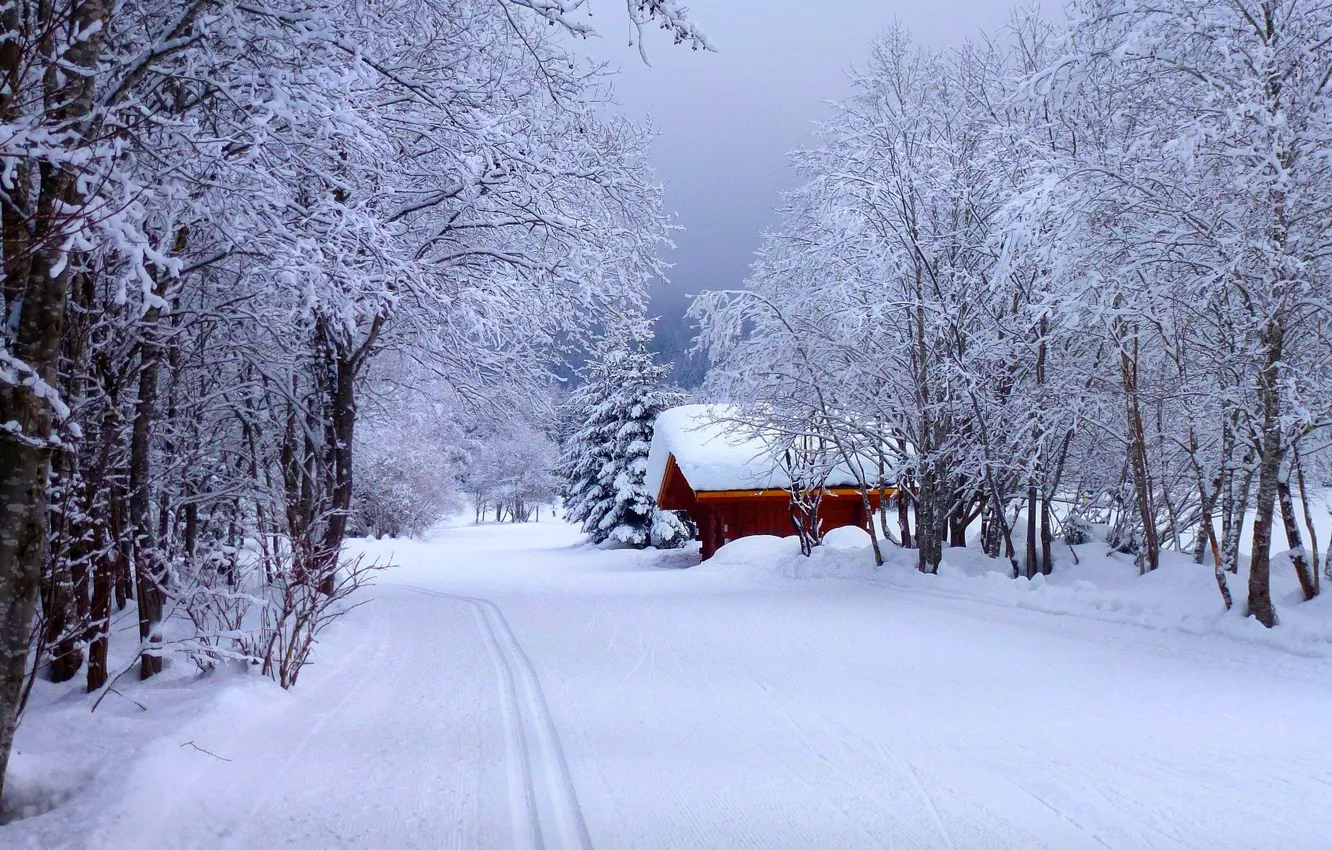 Photo wallpaper winter, road, forest, the sky, snow, landscape, nature, house