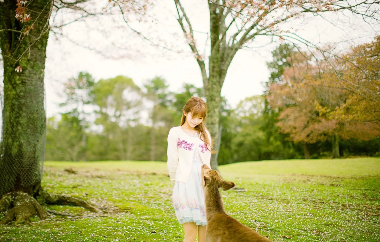 Photo wallpaper grass, woman, model, pretty, spring, asian, deer, outdoor