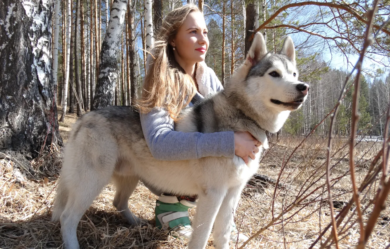 Photo wallpaper forest, girl, nature, dog, husky, Ural