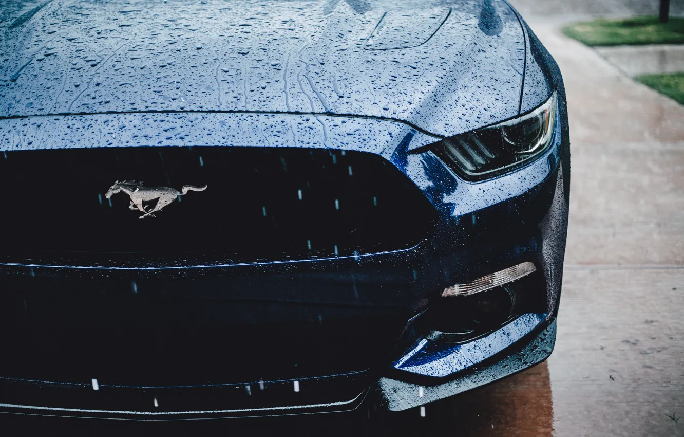 Photo wallpaper Ford Mustang, muscle car, water drops