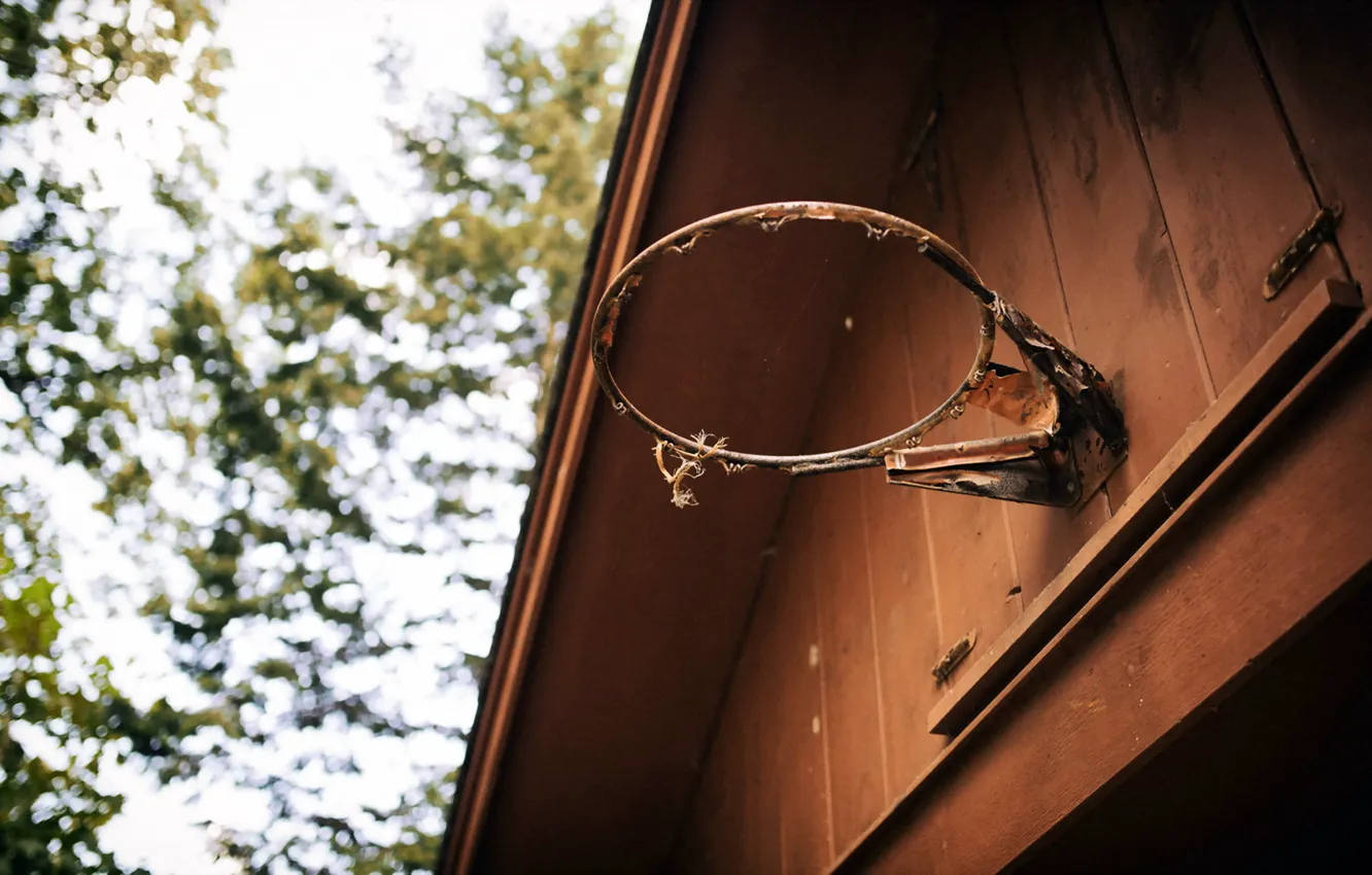 Photo wallpaper sport, home, ring