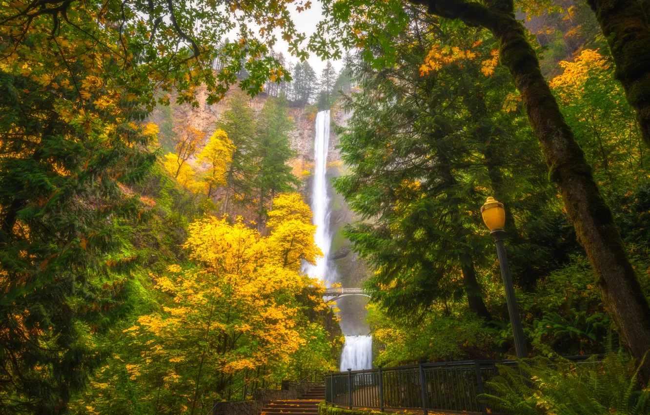 Photo wallpaper autumn, trees, waterfall, Oregon, lantern, Oregon, Columbia River Gorge, Multnomah Falls