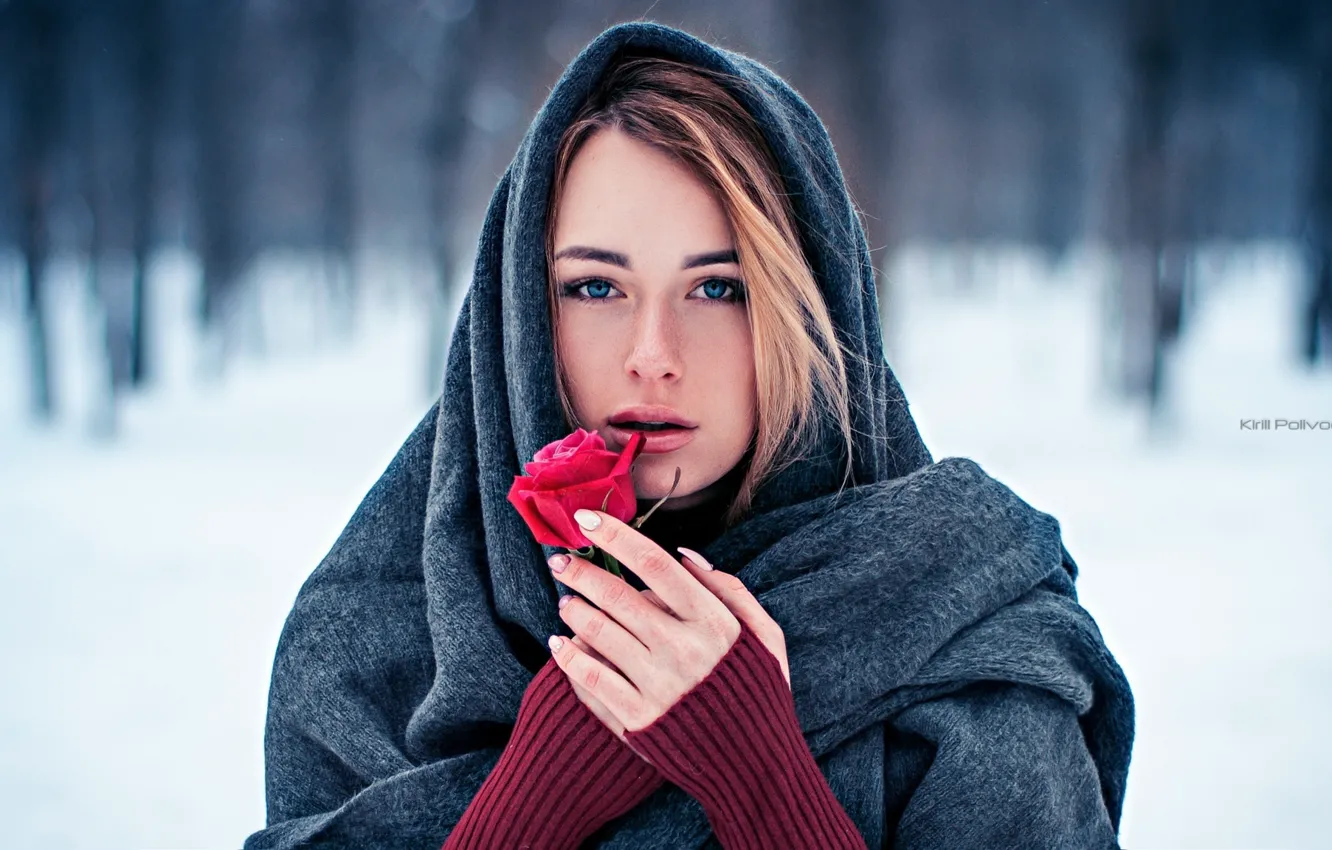Photo wallpaper look, girl, snow, trees, face, sweetheart, model, portrait
