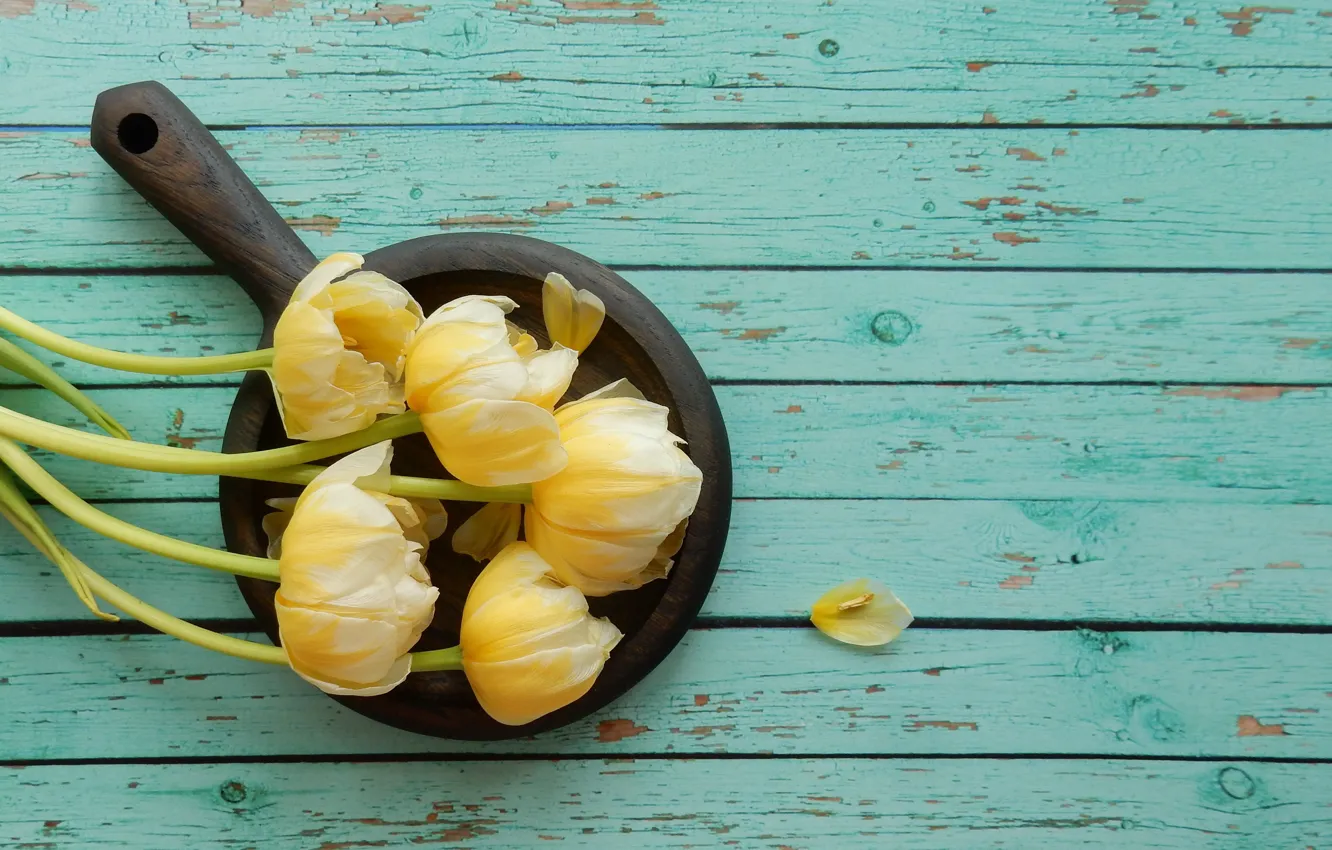 Photo wallpaper flowers, bouquet, spring, tulips, widescreen, flowers, beautiful, background