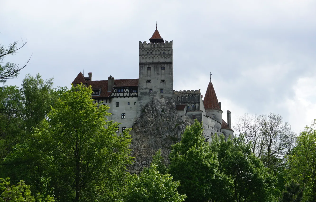 Photo wallpaper the sky, clouds, trees, Romania, Bran Castle, medieval architecture