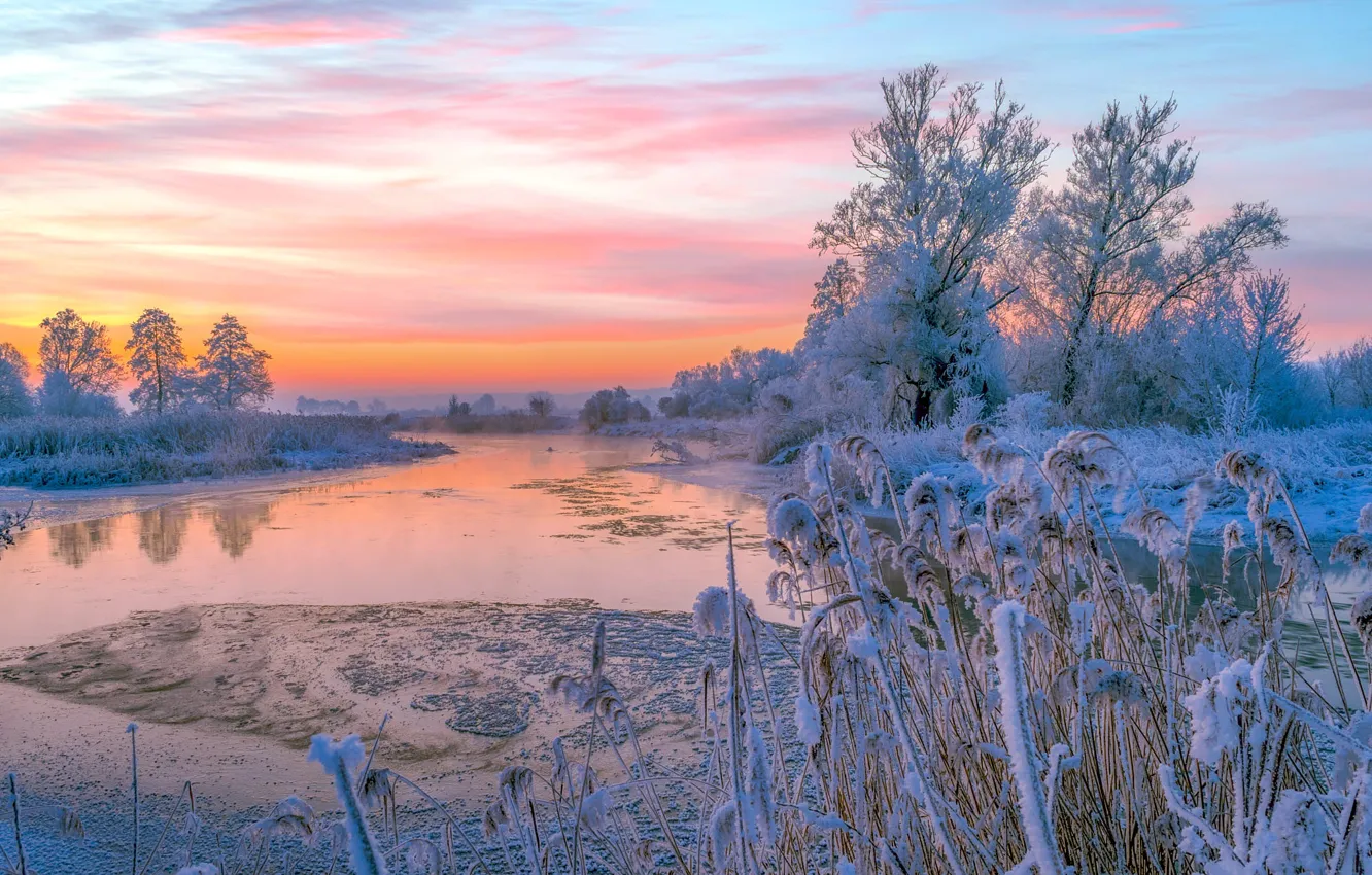 Photo wallpaper winter, frost, clouds, snow, trees, river, dawn, shore