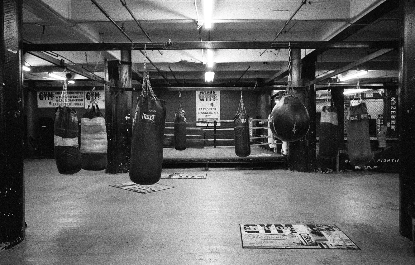 Photo wallpaper boxing, gym, Everlast