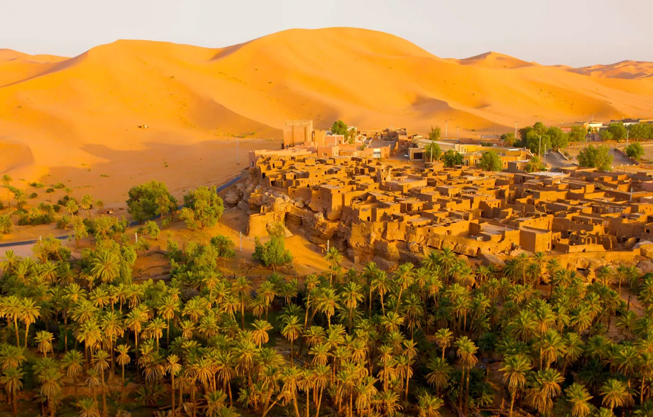 Photo wallpaper sand, the dunes, the city, palm trees, desert, home, Algeria, Oasis