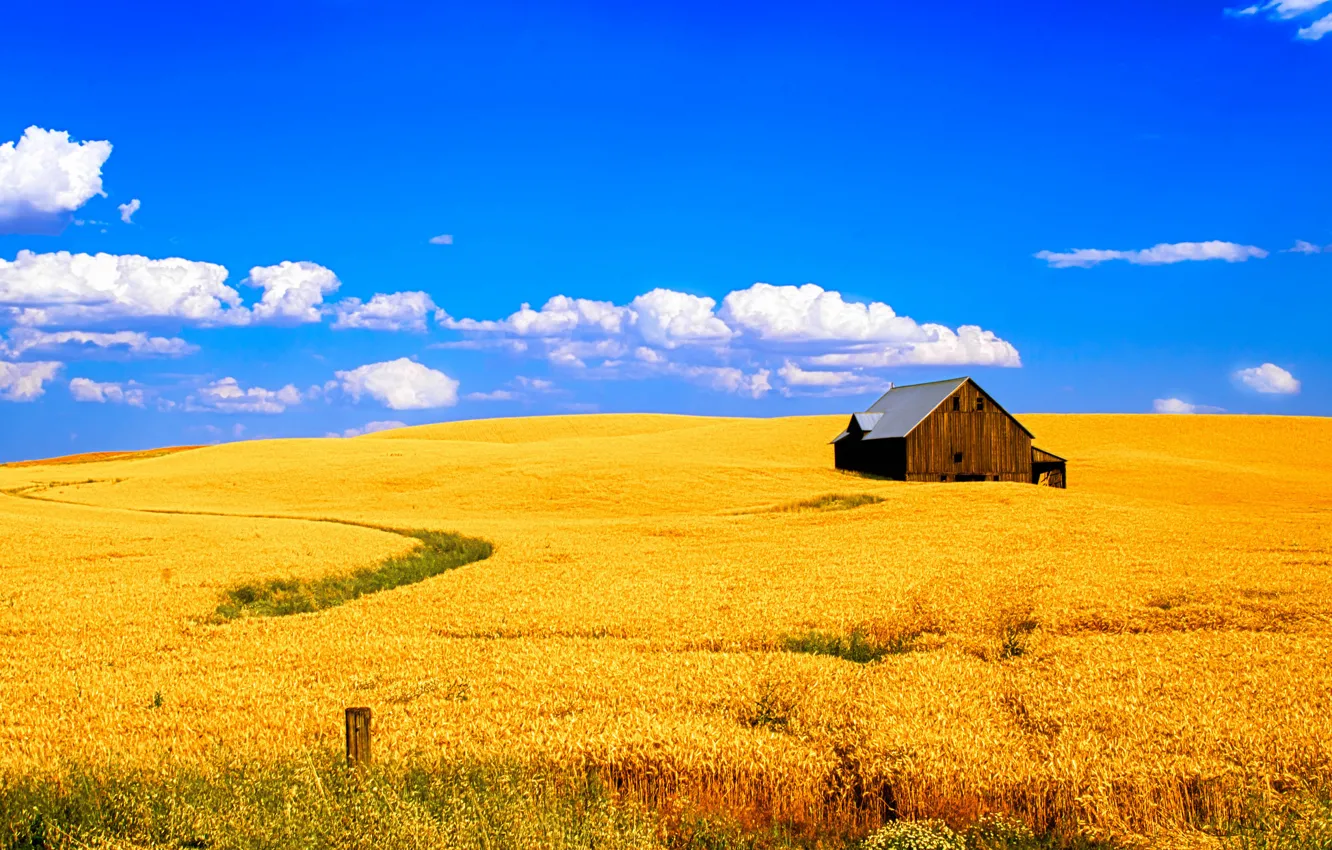 Photo wallpaper wheat, field, the sky, clouds, landscape, house