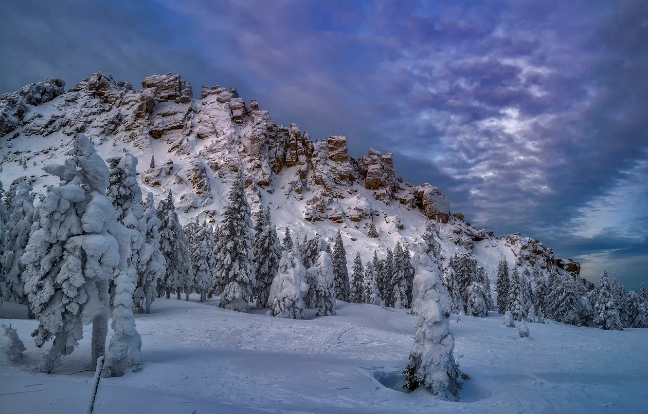 Photo wallpaper winter, snow, trees, rock, ate, Russia