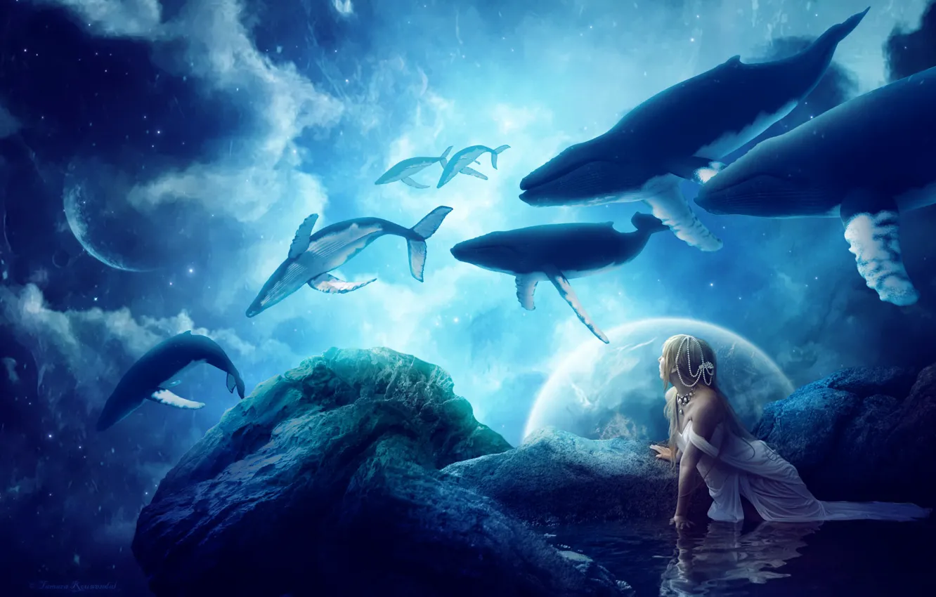 The Erotic Significance of Dreaming About Whales