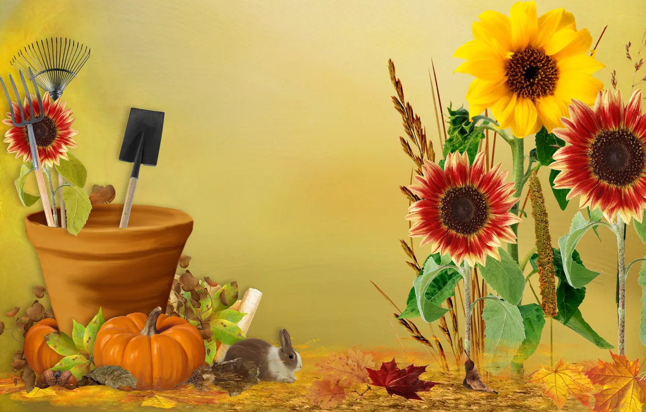 Photo wallpaper autumn, leaves, flowers, collage, garden, rabbit, harvest, shovel