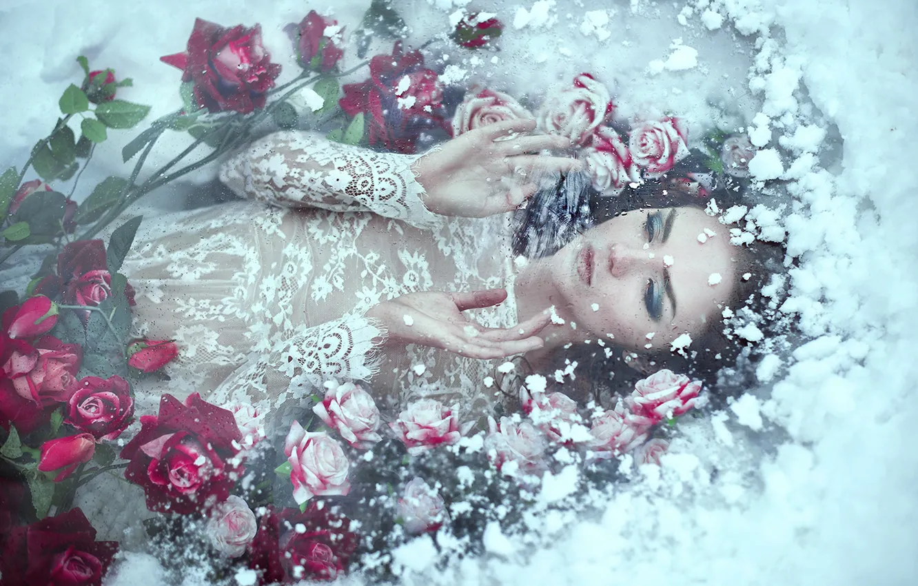 Photo wallpaper cold, ice, winter, girl, snow, flowers, face, pose
