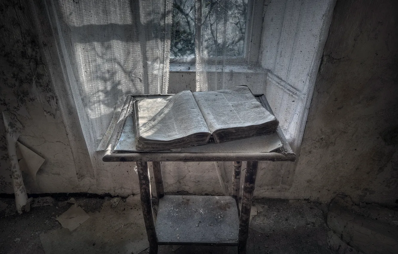 Photo wallpaper room, window, book