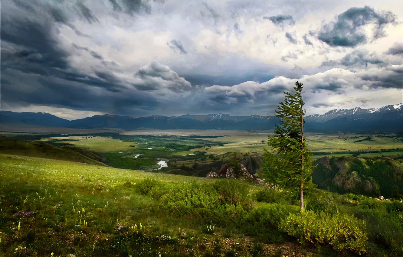 Photo wallpaper greens, field, forest, summer, the sky, clouds, mountains, clouds