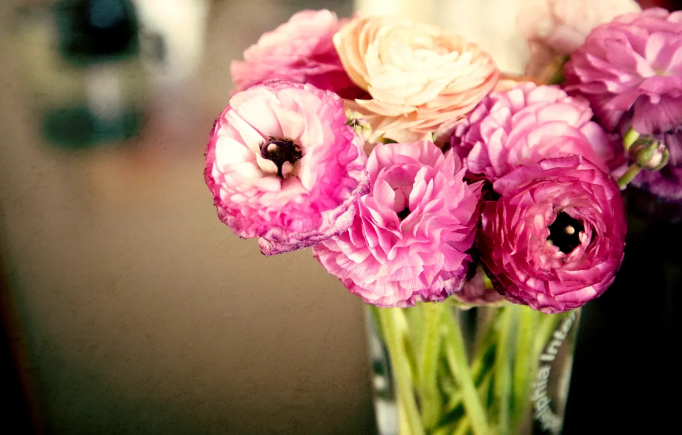 Photo wallpaper leaves, flowers, bouquet, petals, vase, pink, buds, buttercups