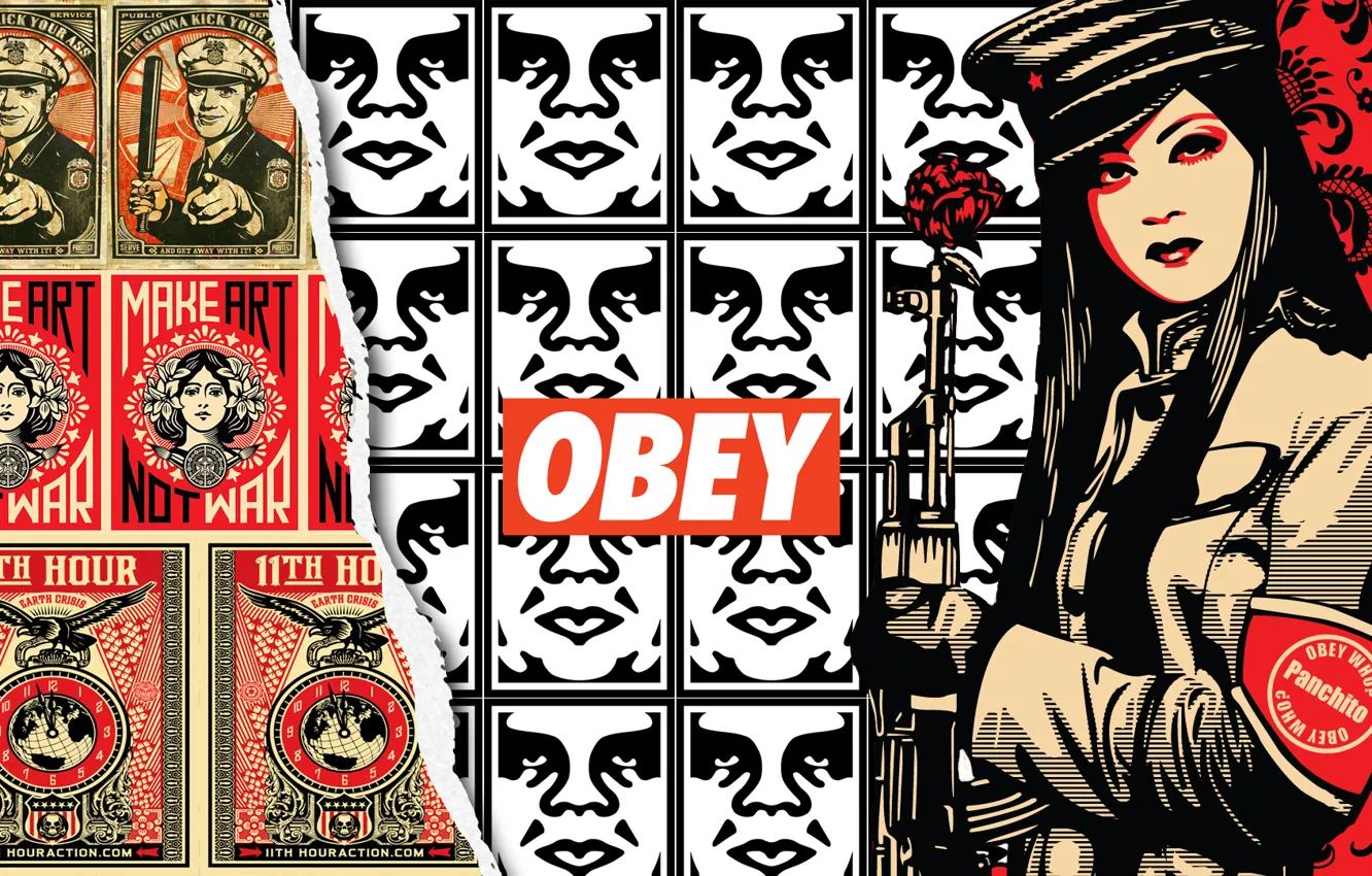 Photo wallpaper style, Chinese, obey