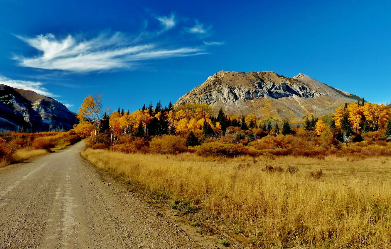 Photo wallpaper road, autumn, grass, clouds, trees, mountains, Canada, Albert