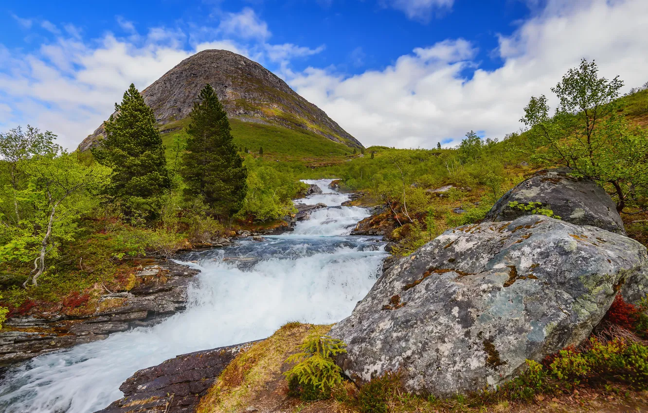 Photo wallpaper the sky, grass, trees, mountains, river, stones, stream, Norway