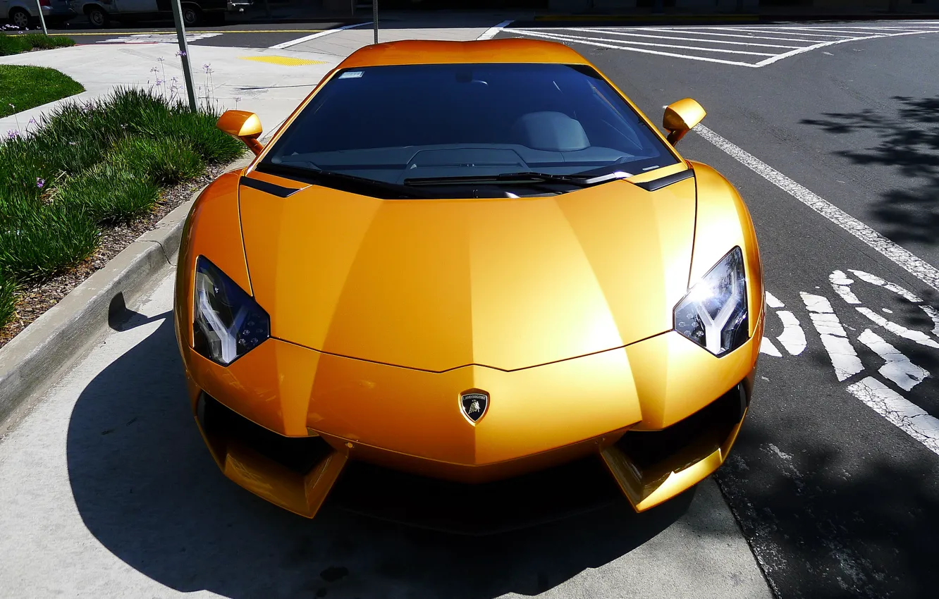 Photo wallpaper grass, yellow, Parking, lamborghini, Blik, yellow, the view from the top, aventador