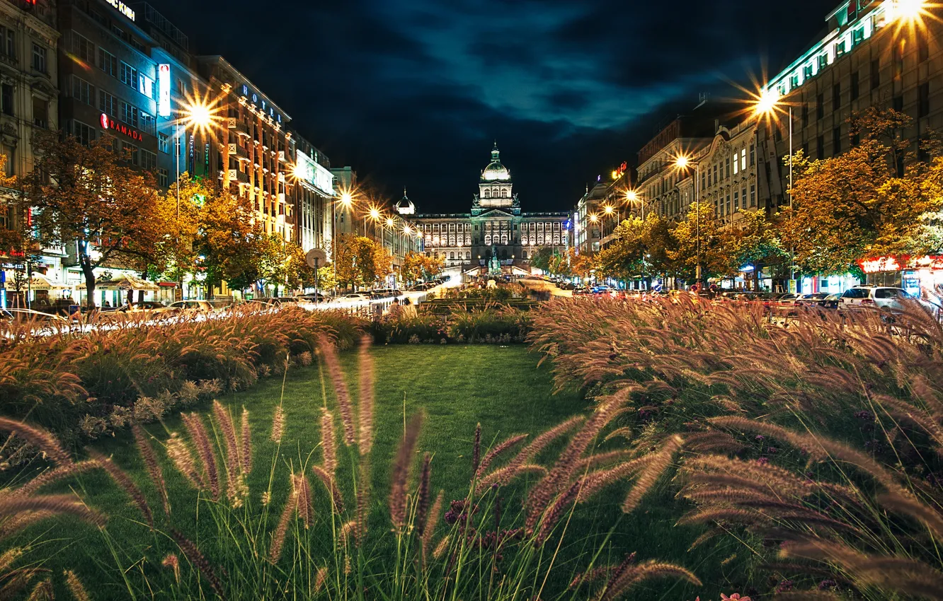 Photo wallpaper grass, night, Prague, lights, Night, Prague