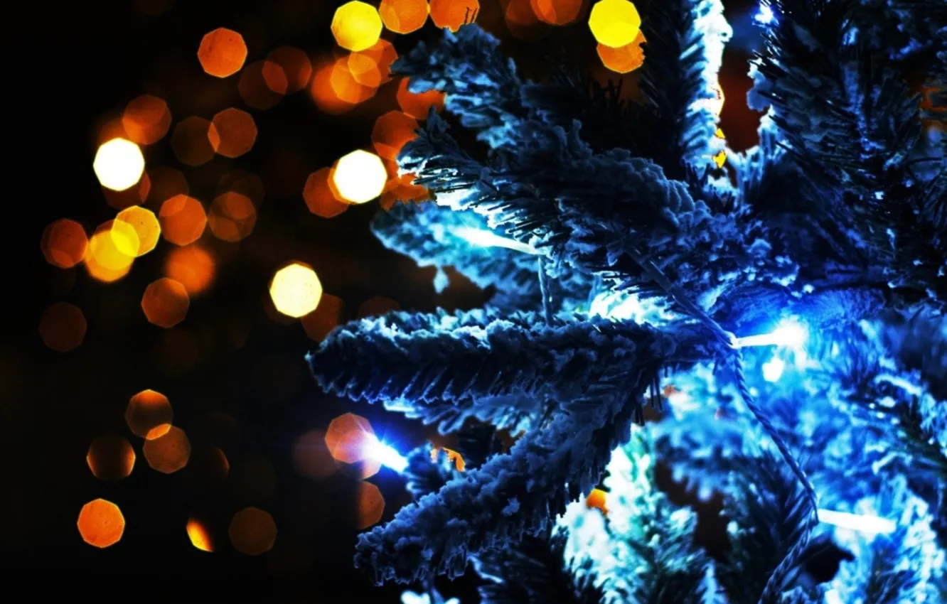 Photo wallpaper lights, photo, mood, holiday, magic, Wallpaper, new year, tree