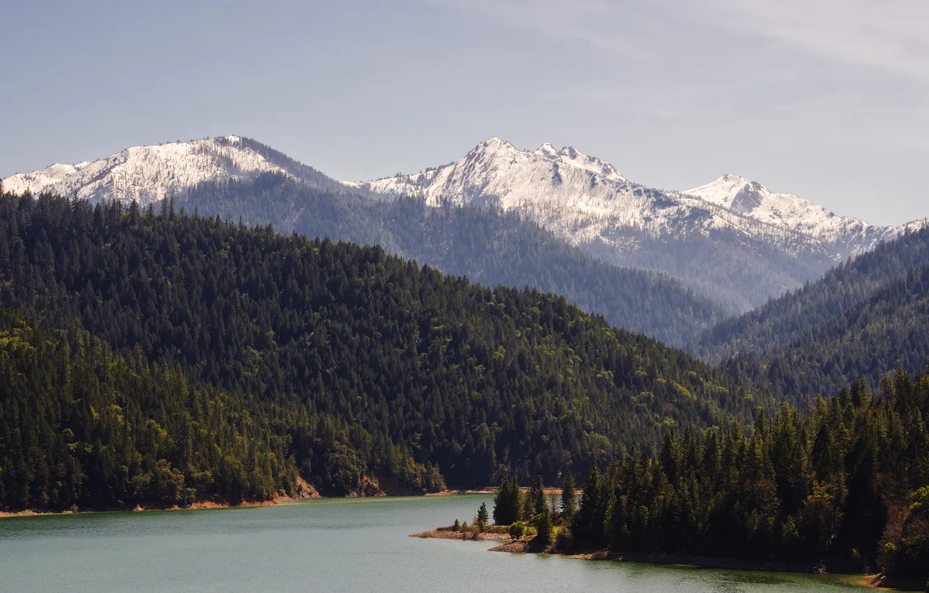 Photo wallpaper forest, trees, mountains, river, USA, Oregon, North America
