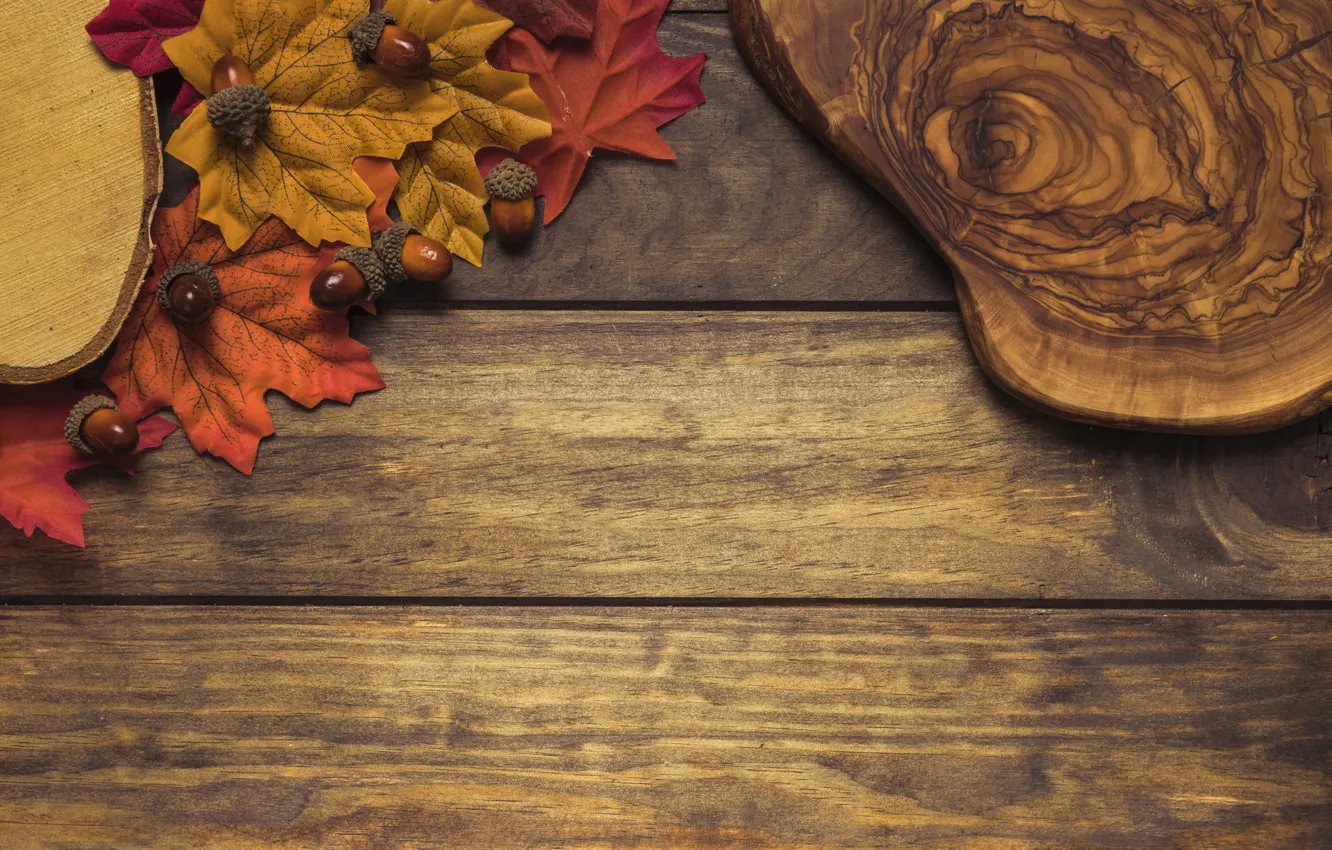 Photo wallpaper autumn, leaves, trees, background, Board, colorful, wood, acorns