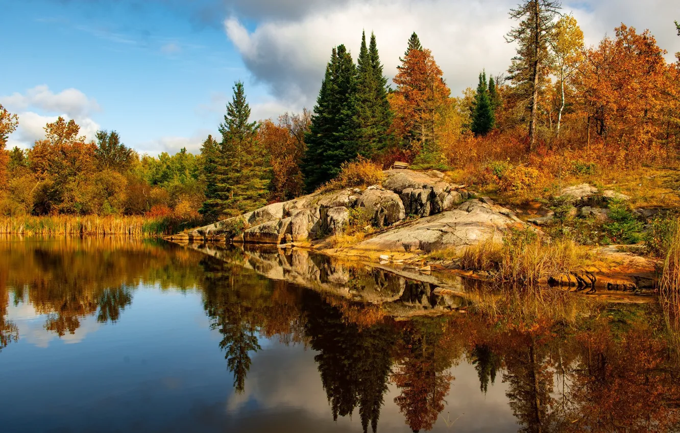 Photo wallpaper autumn, forest, trees, landscape, nature, lake, beauty