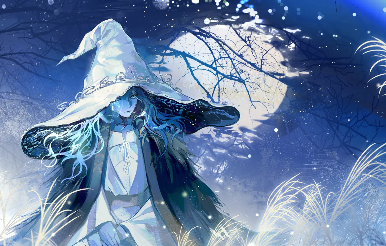Photo wallpaper water, girl, night, the moon, Elden Ring, Ranni The Witch