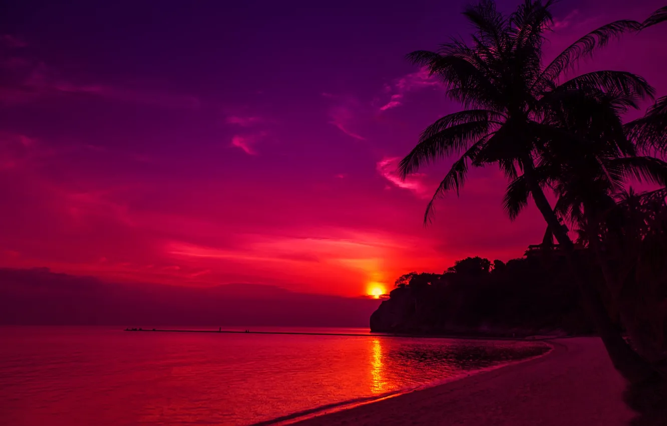 Photo wallpaper sand, sea, beach, the sky, the sun, sunset, palm trees, shore