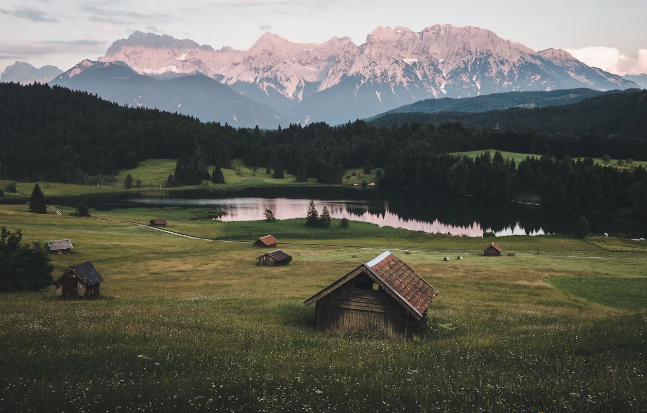 Photo wallpaper forest, summer, flowers, mountains, fog, lake, reflection, rocks