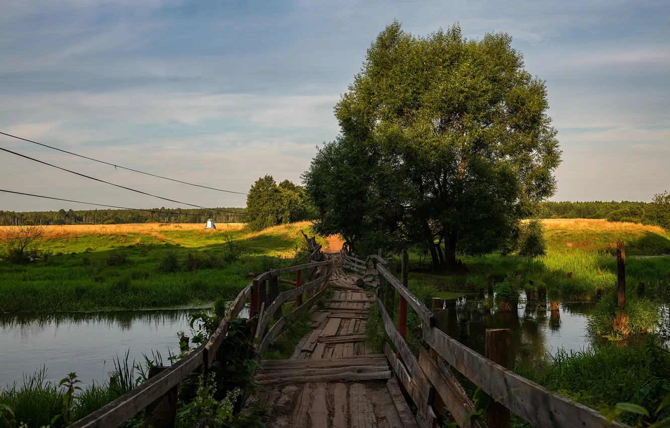 Photo wallpaper field, summer, the sky, trees, bridge, lake, river, shore