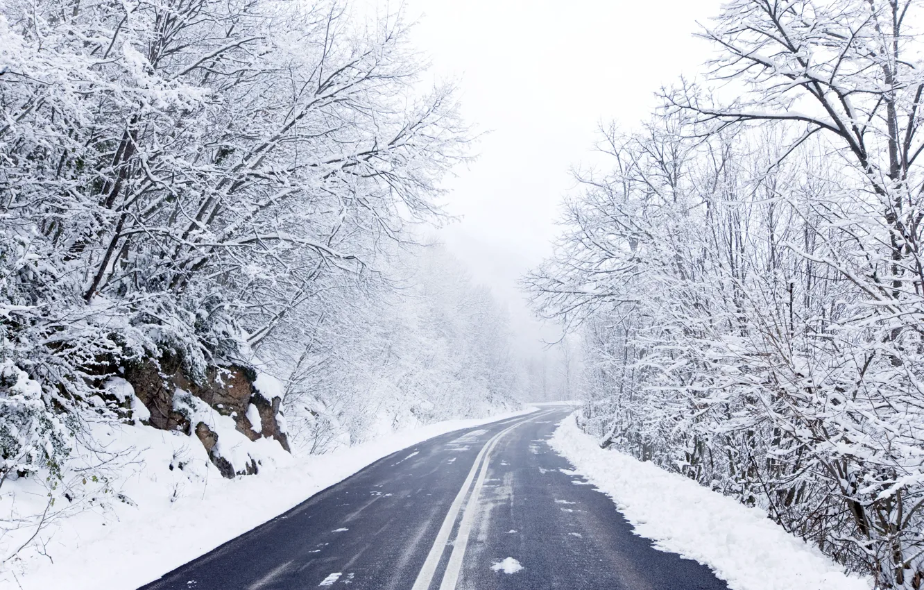 Photo wallpaper winter, road, snow, trees