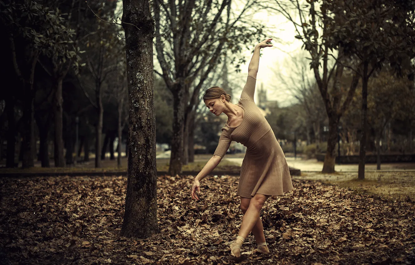Photo wallpaper girl, dress, trees, woman, park, leaves, model, bokeh