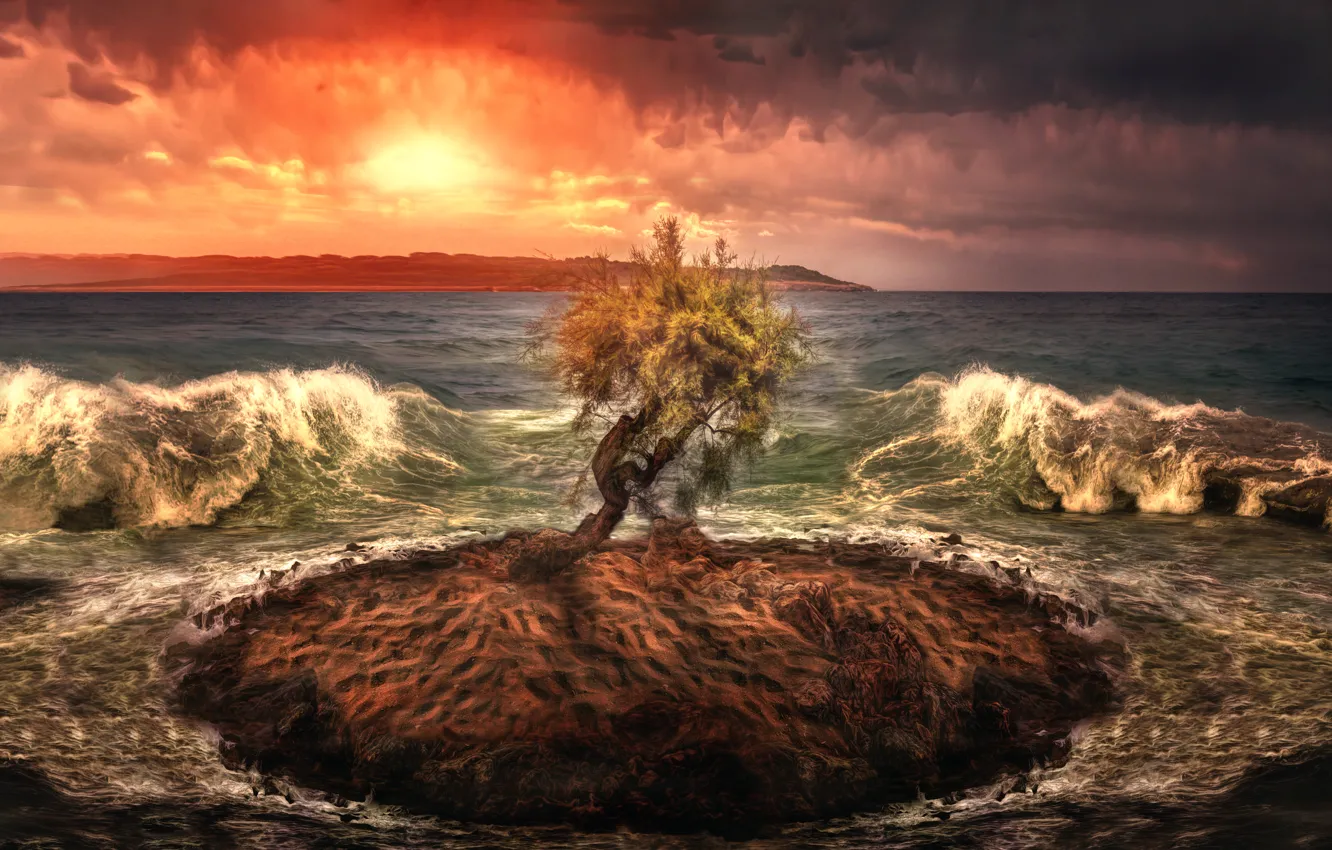 Photo wallpaper sea, wave, tree, treatment, island, lonely island