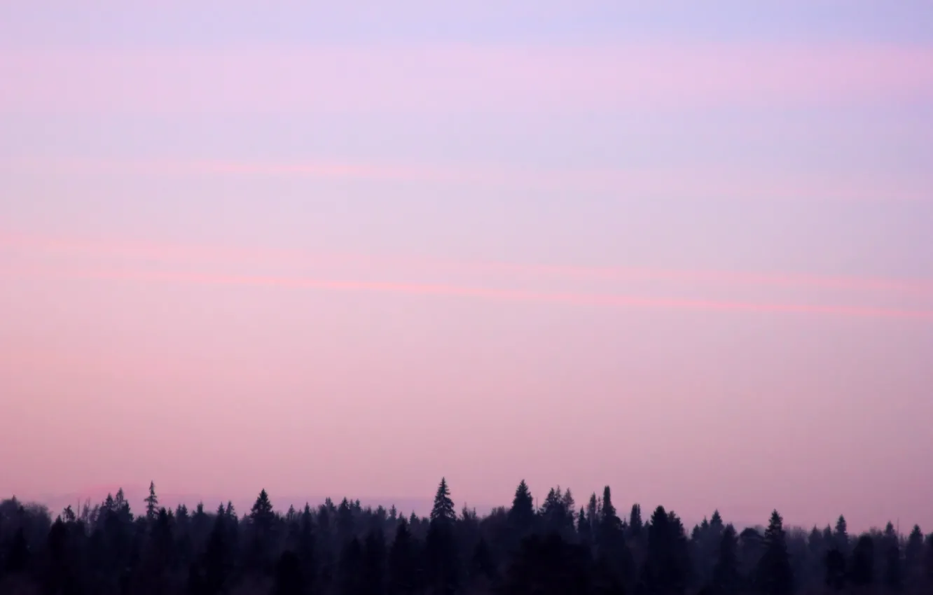 Photo wallpaper nature, beauty, tale, minimalism, art, skazak