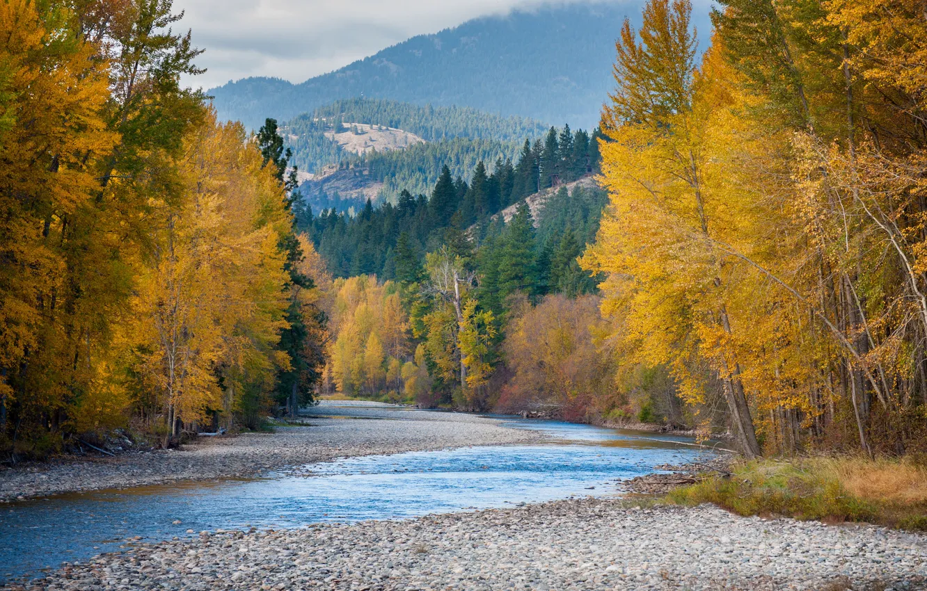 Photo wallpaper autumn, forest, mountains, river, USA, Washington