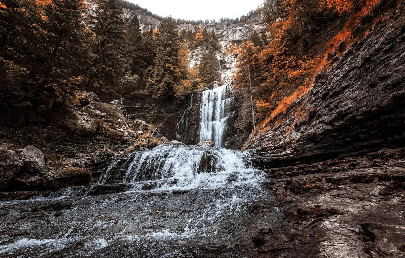 Photo wallpaper autumn, forest, stones, rocks, shore, waterfall, stream