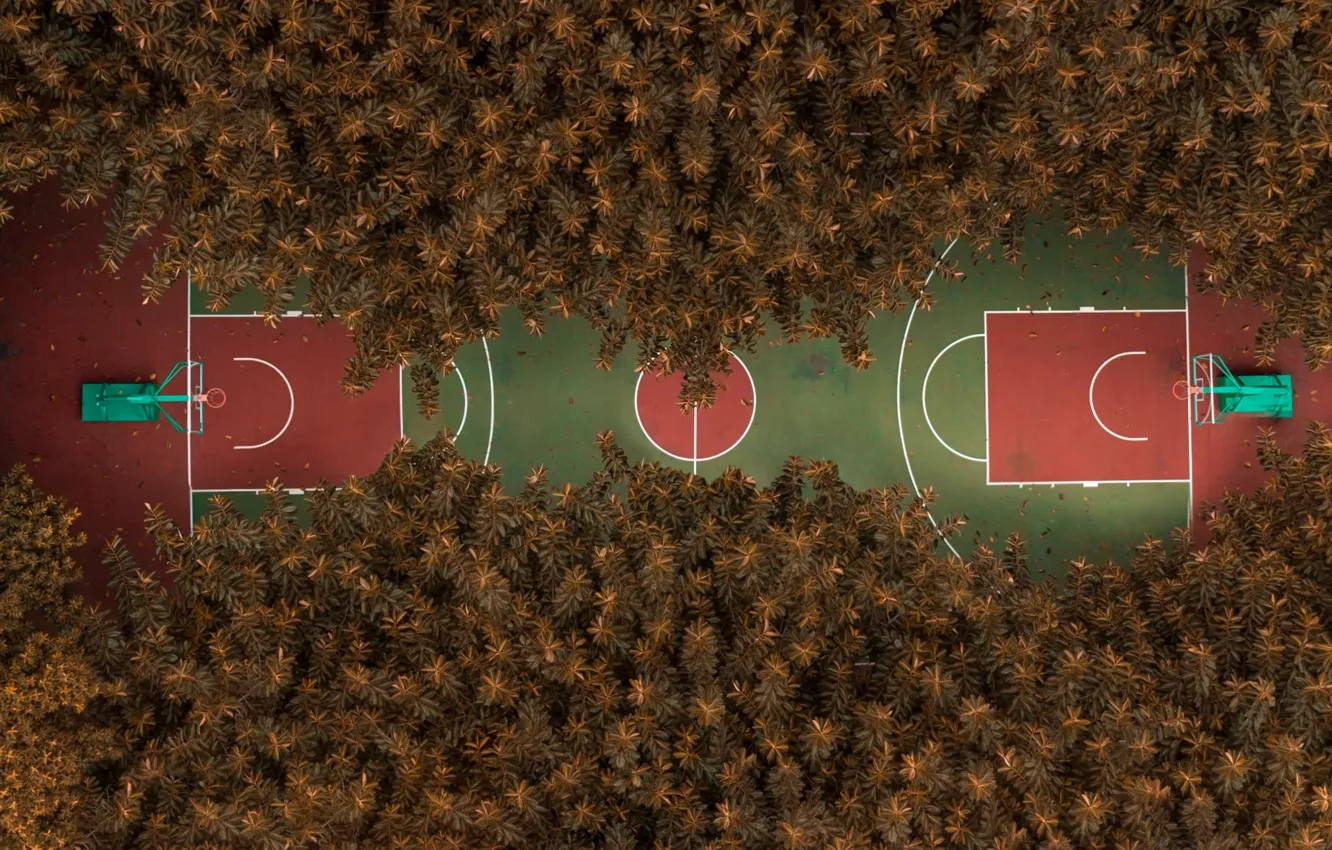 Photo wallpaper autumn, Park, Basketball, Playground, basketball court