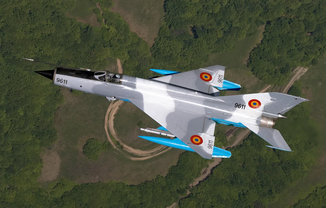Photo wallpaper Road, Forest, Fighter, The MiG-21, OKB Mikoyan and Gurevich, The BBC Romania