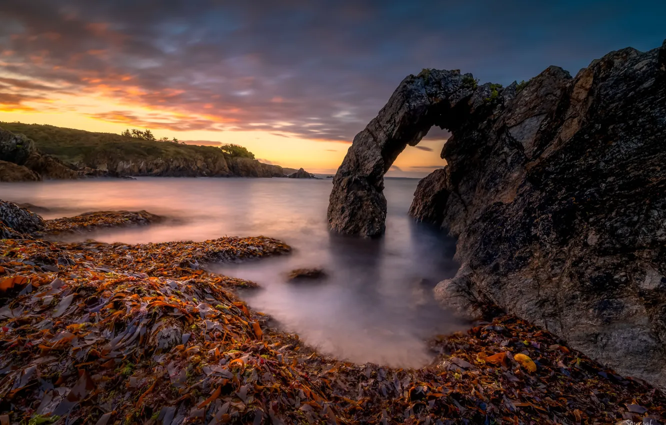 Photo wallpaper sea, algae, rocks, shore, arch