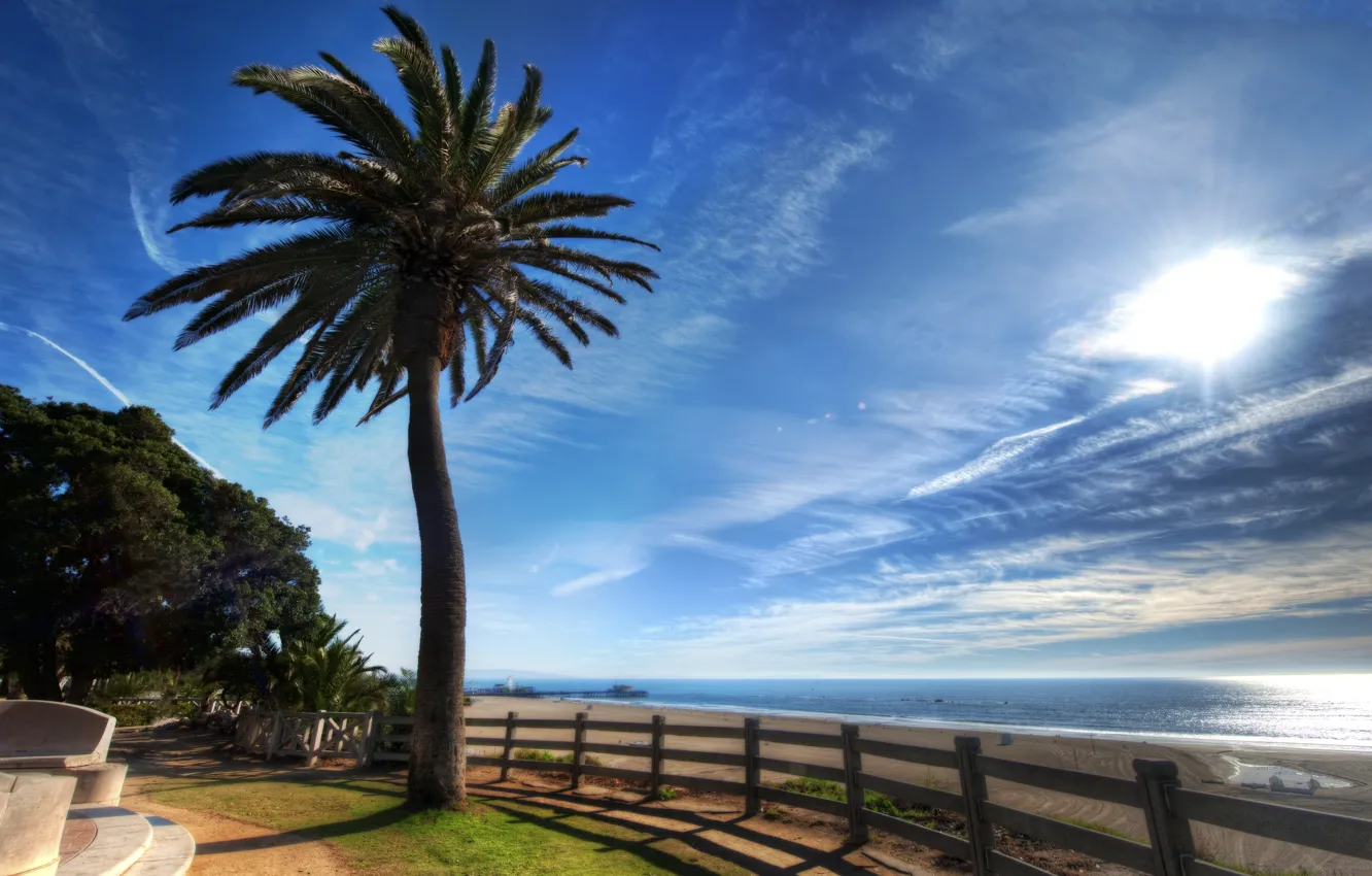 Photo wallpaper sea, summer, palm trees, coast, promenade, sea, seaside, palm