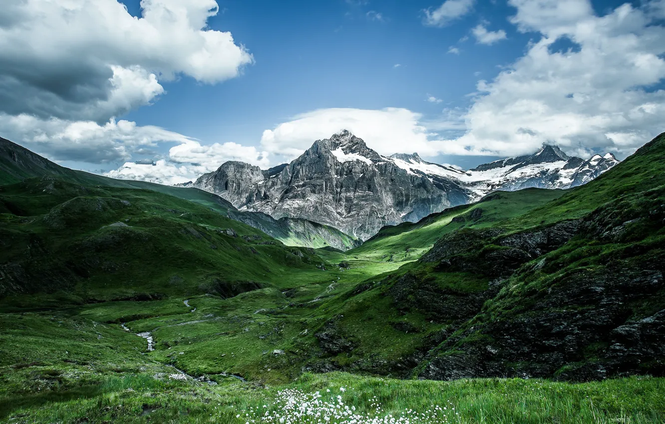 Photo wallpaper greens, the sky, clouds, mountains, The Swiss Alps