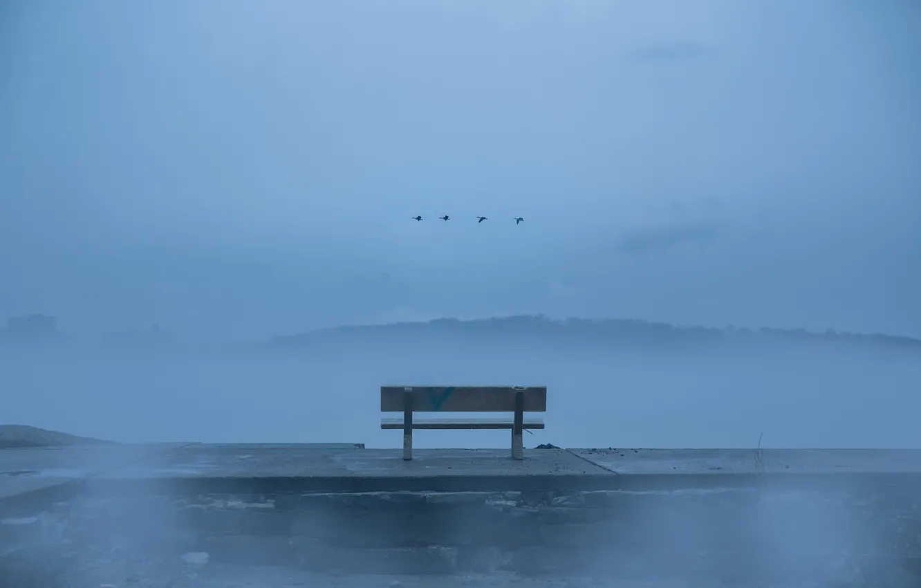 Photo wallpaper birds, fog, bench