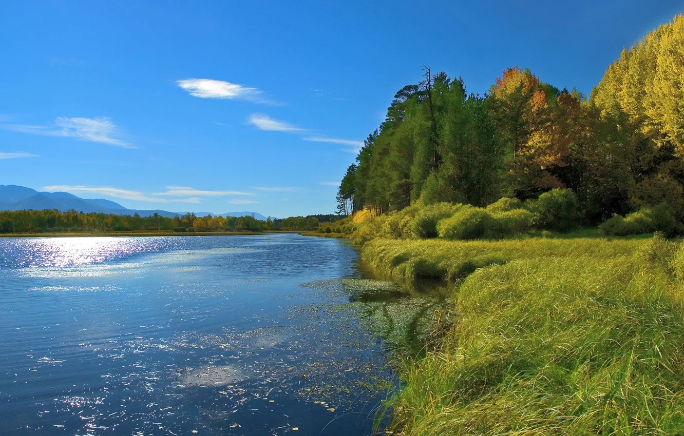 Photo wallpaper summer, lake, shore, 152