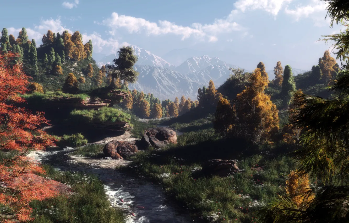 Photo wallpaper forest, trees, mountains, nature, stones, art, track, klontak