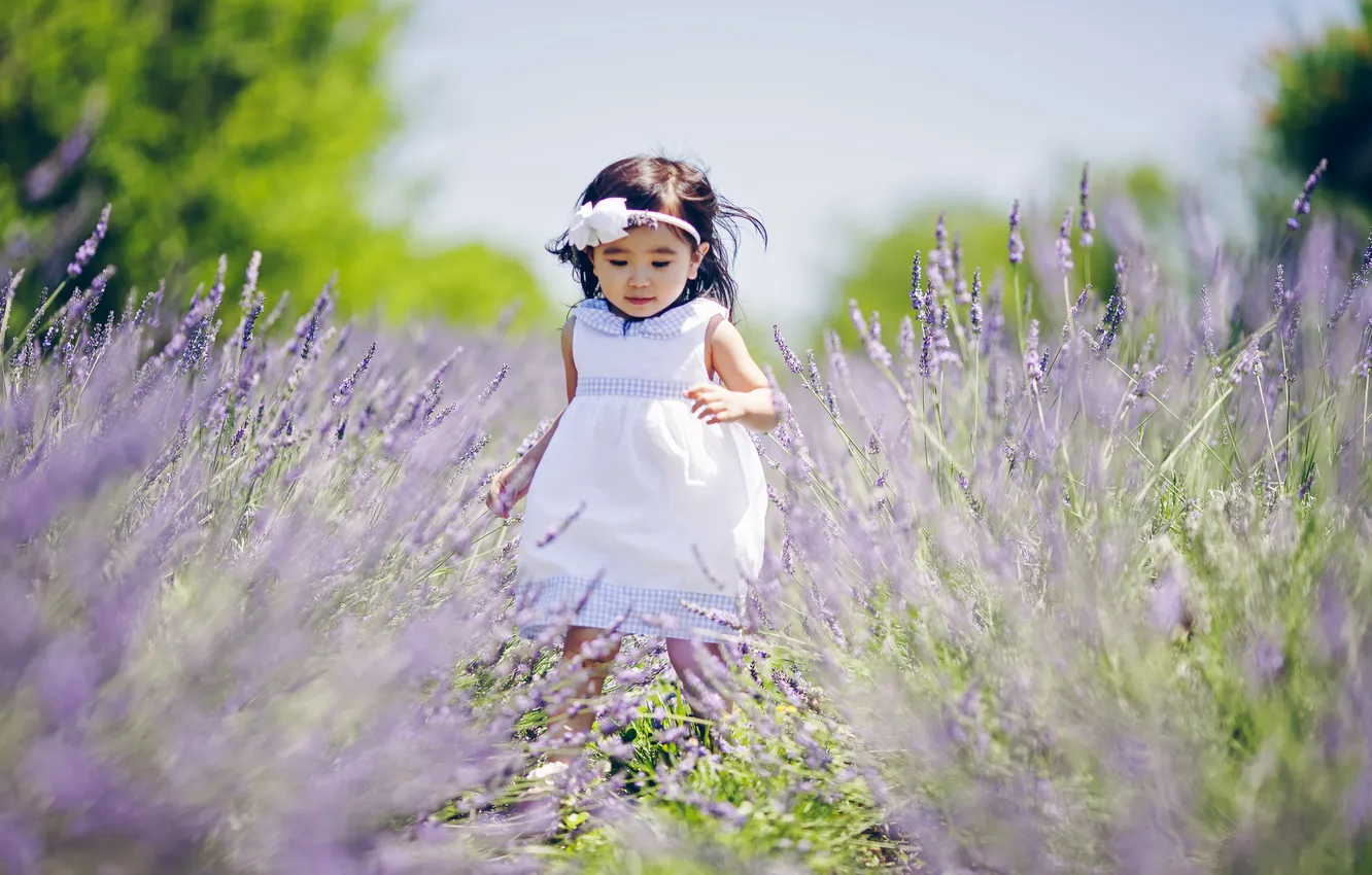 Photo wallpaper flowers, nature, child, lavender, bokeh